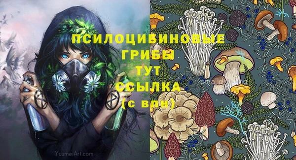 гидра Балахна