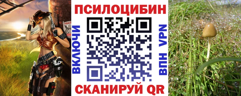 Псилоцибиновые грибы Magic Shrooms  что такое наркотик  Богданович 